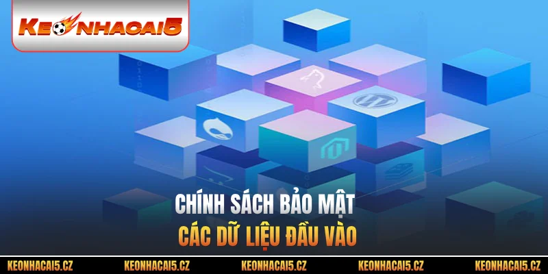 Chính sách bảo mật với các dữ liệu đầu vào