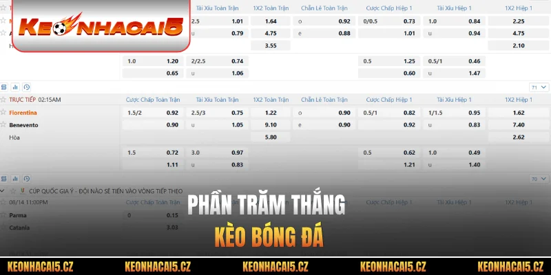 Phần trăm thắng kèo bóng đá