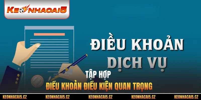 Tập hợp điều khoản điều kiện quan trọng