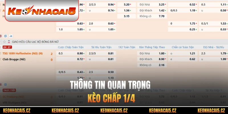 Thông tin quan trọng kèo chấp 1/4